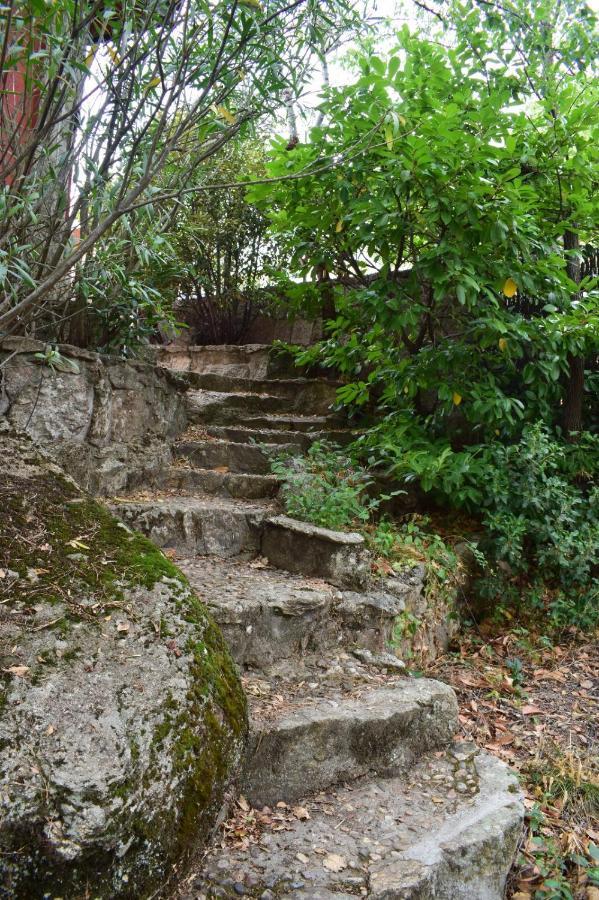 Casita En La Sierra Βίλα Zarzalejo Εξωτερικό φωτογραφία
